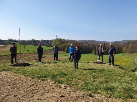 Saditev v KS Dolga Gora